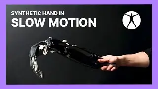 Clone Synthetic Hand in Slow Motion