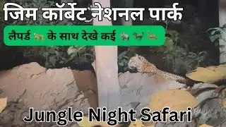  Jim Corbett Park Ramnagar in Night. लेपर्ड 🐆 के साथ साथ दिखे बहुत सारे जानवर 🦌 