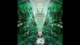 Lunas Amunas - Golden Gong - Handpan and Electronic Fusion