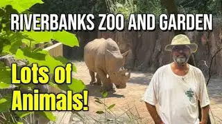 Riverbanks Zoo and Garden. Columbia, SC. New Skyride!