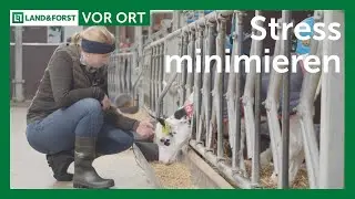 K&auml;lberhaltung: 