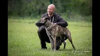 Centre Hervé Pupier - Formation Educateur canin