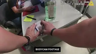 Massive Target Theft Ring Busted &mdash; Felony Arrest Caught on Camera