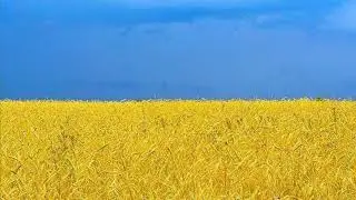 I Say a Little Prayer - Aretha Franklin *Joseph Solomon Cover