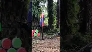 moving target for archery sport
