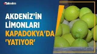Adana ve Mersin'in limonları Kapadokya'da 'yatıyor'