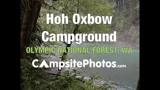 Hoh-Oxbow Campground Olympic National Forest, Washington Campsite Photos