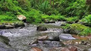 Deep Calm River &ndash; 10 Hours of ASMR for Focus, Anxiety & Stress Recovery