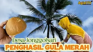 DESA JONGGOLSARI LEKSONO PENGHASIL GULA MERAH SEJAK JAMAN DULU