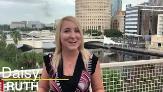 Indoor, outdoor dog park, bar coming to Tampa this year