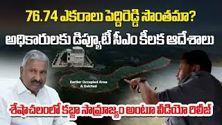 Pawan Kalyan Aerial Survey on Mangalam Peta Land Encroachment, Orders Probe In 76.74 Acres Land