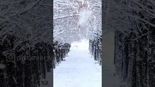 Best Season To Visit Kullu Manali #travel #manali #season #adventure #himalayas #tourism #trip #snow