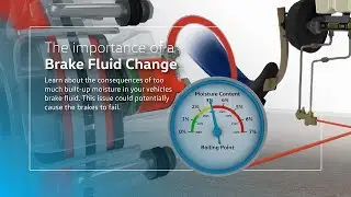 The importance of a Brake Fluid Change @vwwaterloo