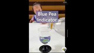 Blue Pea Indicator. Cool Science Experiments for Kids!