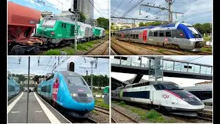 TER, TGV & Fret - Angoulême Station - 2022 Summer