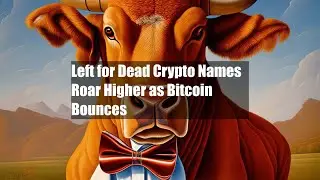 Left for Dead Crypto Names Roar Higher as Bitcoin Bounces