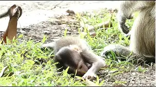 Mom Brinn Testing Just Release Drop Baby Bobby Walking Follow Behind. What Going On Baby Bobby?