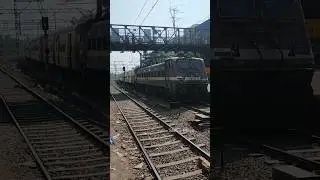 BSL Wap-4 Leading Csmt Mgr Central Express #train #viral #shorts #indianrailways #wap4 #trainlover