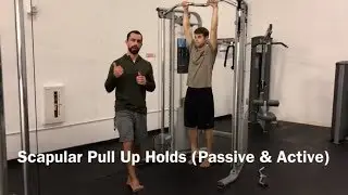 Scapular Pull Up Hold (Passive & Active) - Slow Iso Holds