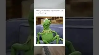🐸 Kermit said what you couldn't 💅 #StreamerMoments #Clutch #DiscordGang #TooFunny