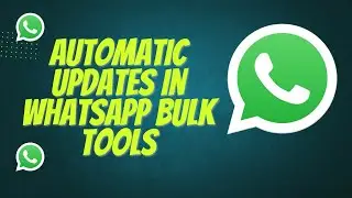 WhatsApp Bulk Sender Automatic Update Feature Explained