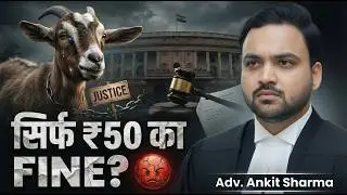Bestiality Law in BNS: Section 377 IPC Removed? Legal Analysis