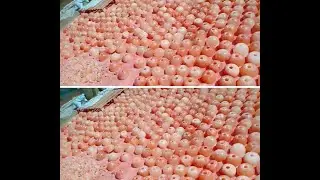 Himalayan salt Manufacturer and Exporters from Pakistan
