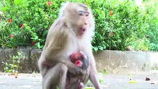 Monkey Cute! Lori Welcomes Her Adorable Newborn