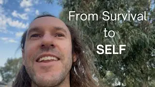 From Seeking Validation to Self-Remembrance | Awakening in Nature