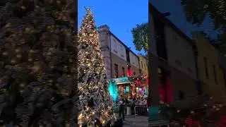 Christmas in Sydney, Australia 🇦🇺 🎄🎄🎄 #sydney #travel #australia #christmas