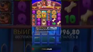 Макс Вин в Собачках 🤫🤫 Играли на Money X 😱😱 #занос