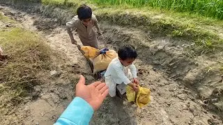 PAKISTANI JUGAAR پاکستانی دیسی جگاڑ 😜🤪