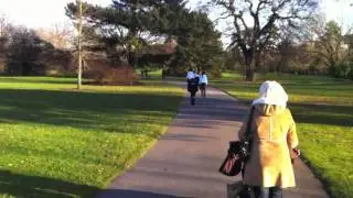Helicopter Crash in Kew Gardens - TSV 12/03