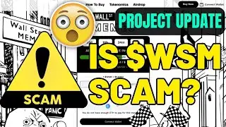⚠️ Is Wall Street Meme coin a SCAM? WSM crypto token distribution date revealed!