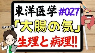 【東概027】大腸の気の生理＆病理『超時短理解で国試を勝ち戦に！』