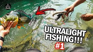 PEACOCK BASS On Ultra Light Tackle!!! | Part 1 | - EP60