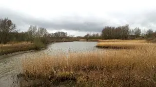 2016 02 20 SCHELDE DURME