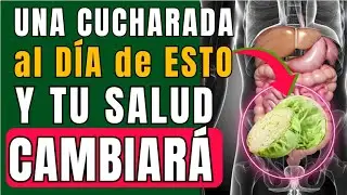 El PODER OCULTO del CHUCRUT que transforma tu DIGESTI&Oacute;N