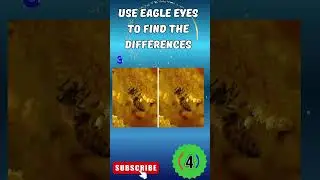 Sharpen Your Vision: Spot the Differences with Eagle Eyes! #quiz #eyes #riddles #shorts #fyp #yt
