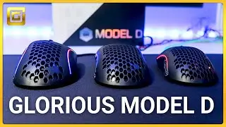 Glorious Model D &mdash; в чем разница с моделью O и zowie ec1?