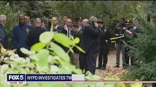 Woman attacked in Central Park