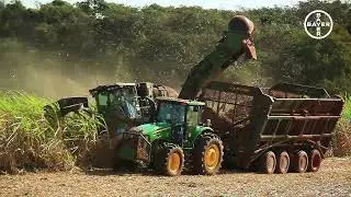 Working Together | Sustainable Soy Production in Brazil