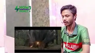 Wild Dog Trailer REACTION | AkkineniNagarjuna | Saiyami Kher | Ahishor Solomon | Niranjan Reddy