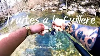 💥💥TRUITES de rivière💥💥à la cuillère