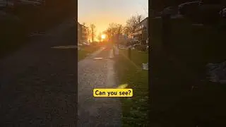 🇸🇪Sweden's Nature 👌🏻 | Tamil vlog | Sweden Tamil vlog #shorts #tamil #youtubeshorts #swedentamilvlog