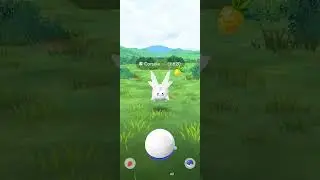 Pokemon go research breakthrough box #corsola #box #reasearch #pokemongame