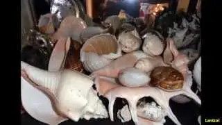 My Greek seashells collection