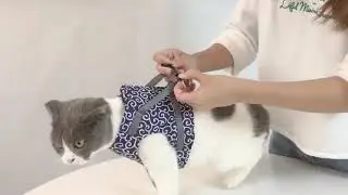 Japanese Style Outdoor Cat Vest