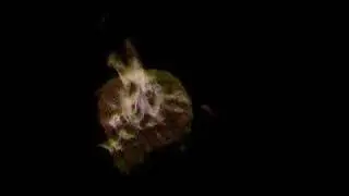 Nitromethane Fire