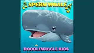 Hello, Sperm Whale!